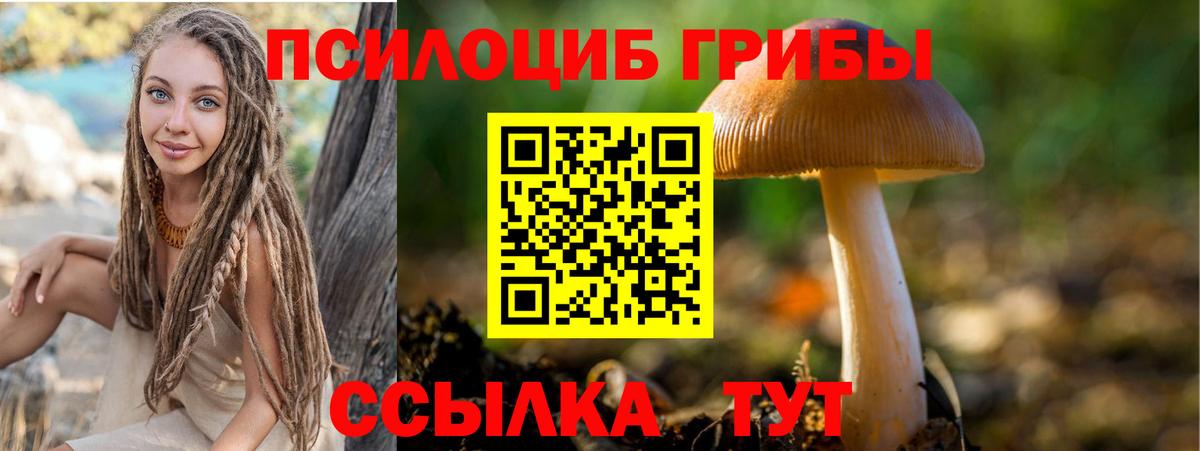 Зерноград  купить наркотик  Вход с VPN  Псилоцибиновые грибы прущие грибы 