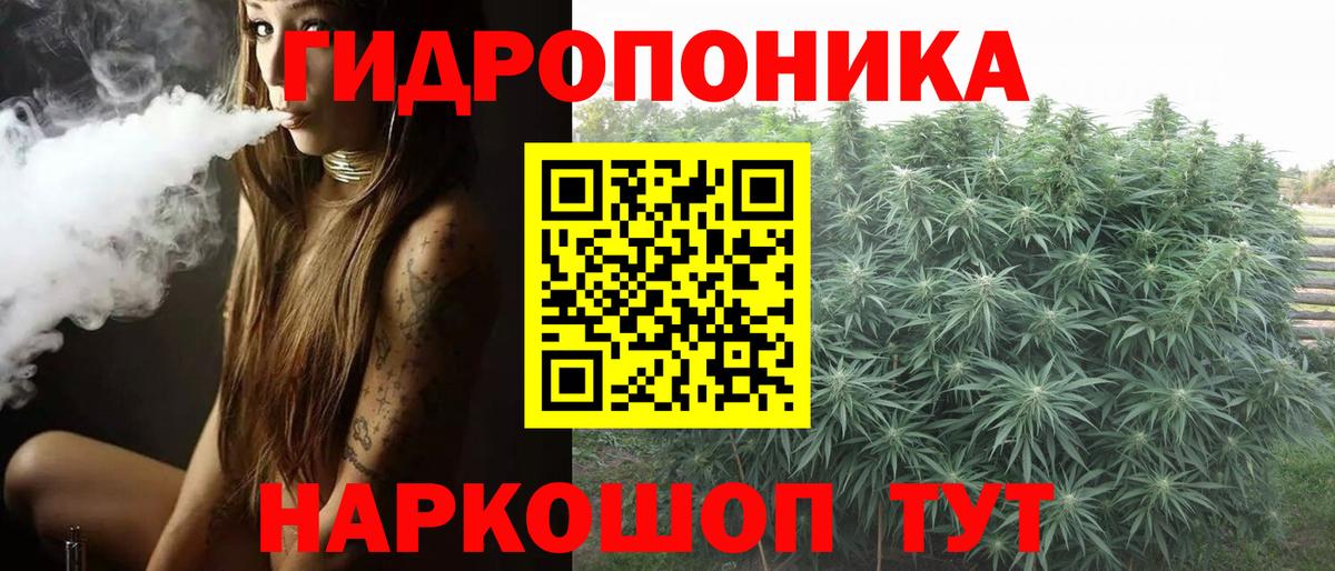 Бошки марихуана OG Kush Зерноград